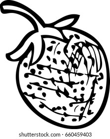Strawberry. Vector illustration. Sketch.