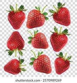 

Strawberry vector illustration transparent background