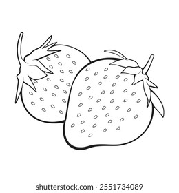 strawberry vector illustrations.hand drawn strawberry. black and white strawberry	