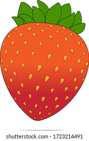Strawberry. Vector image of a strawberry, illustration, logo.