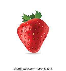 Strawberry vector isolated on white background