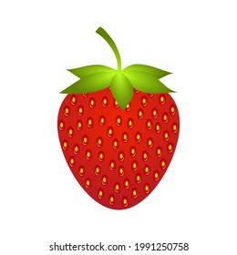 Vector de fresa aislado en fondo blanco
