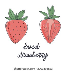 Fresa. Vector aislado sobre fondo blanco. Fresa dulce - letras a mano.
