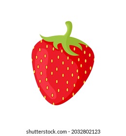 Strawberry vector isolated on a white background. strawberry vector illustration.