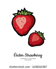 Strawberry vector isolated. Red berries hand drawn illustration. Trendy food vegetarian menu fruit icon. Whole strawberry, berry, leaves. Vector natural fruits illustration isolated, white background.