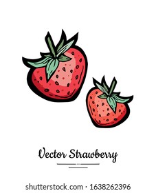 Strawberry vector isolated. Red berries hand drawn illustration. Trendy food vegetarian menu fruit icon. Whole strawberry, berry, leaves. Vector natural fruits illustration isolated, white background.