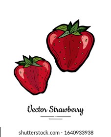 Strawberry vector isolated. Red berries hand drawn illustration. Trendy food vegetarian menu fruit icon. Whole strawberry, berry, leaves. Vector natural fruits illustration isolated, white background.