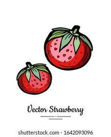 Strawberry vector isolated. Red berries hand drawn illustration. Trendy food vegetarian menu fruit icon. Whole strawberry, berry, leaves. Vector natural fruits illustration isolated, white background.