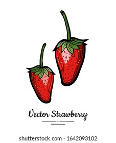 Erdbeere Vektorillustration einzeln. Rote Beeren, handgezeichnet. Trendfood vegetarische Speisekarte Obst Symbol. Ganze Erdbeere, Beeren, Blätter. Vektorillustration, natürliche Fruchtgrafik einzeln, weißer Hintergrund.