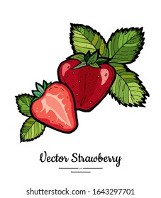 Strawberry vector isolated. Red berries hand drawn illustration. Trendy food vegetarian menu fruit icon. Whole strawberry, berry, leaves. Vector natural fruits illustration isolated, white background.