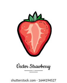 Strawberry vector isolated. Red berry hand drawn illustration. Trendy food vegetarian menu, fruit icon. Half strawberry, berry, leaves. Vector natural fruit illustration isolated, white background.