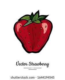 Strawberry vector isolated. Red berry hand drawn illustration. Trendy food vegetarian menu, fruit icon. Whole strawberry, berry, leaves. Vector natural fruit illustration isolated, white background.