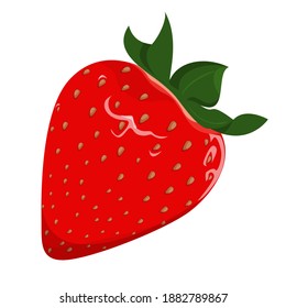 Vector de fresa aislado. Postre dulce y fresco. Comida natural, producto de verano rojo. Deliciosa comida vegetariana orgánica con hojas verdes