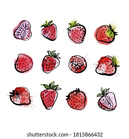 Strawberry. Vector light fruit line watercolor on white background.