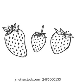 Strawberry vector line icon in doodle style. Symbol in simple design. Cartoon object hand drawn isolated on white background.
