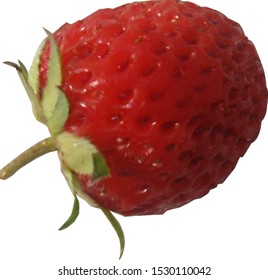 strawberry vector on white background