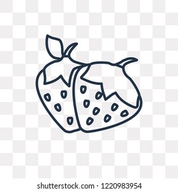 Strawberry vector outline icon isolated on transparent background, high quality linear Strawberry transparency concept can be used web and mobile
