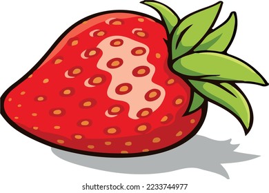 strawberry vector red and green colored
