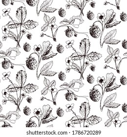 Strawberry vector seamless pattern. Isolated berry branch sketch on white background. Summer fruit engraved style illustration. Detailed hand drawn vegetarian food. Great for label, poster, print