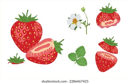 Strawberry vector set. Colection of strawberry vector illustration. Half strawberry, Bitten strawberry.flower and leaf. Flat vector isolated on white background.	
