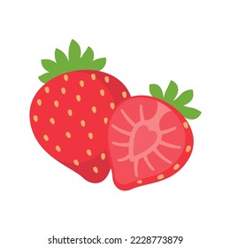 Strawberry vector. Sweet red fruit cut in half for a refreshing summer juice.