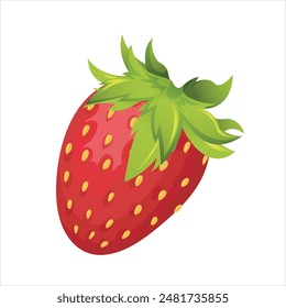 Strawberry vector. Sweet red fruit for a refreshing summer juice.