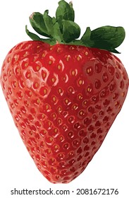 imagen vectorizada de fresa. fruta fresca
