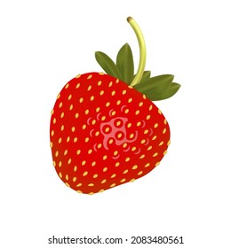 Imagen vectorizada de fresa. Fruta fresca.
