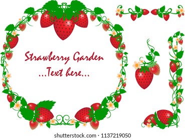 Strawberry Vine Border Vector