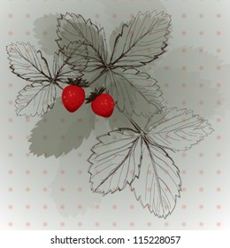 Strawberry / Vintage floral background
