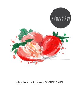 strawberry watercolor illustration. vector hand drawn  strawberry with ink scatter