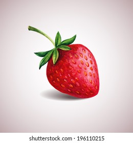 Strawberry watercolor isolated on white. Hand drawn vector illustration