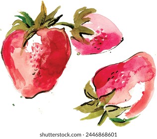 strawberry watercolour vector illustration clipart