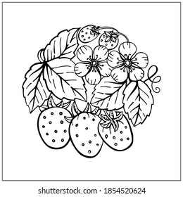 Strawberry wreath, berries, leaves. Graphic hand drawn flat style. Doodle illustration for packaging, menu cards, posters, prints. Isolated over white background.