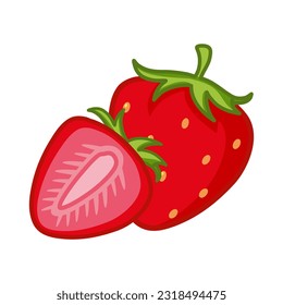 Strawberry-red summer fruit on a white background. Vector illustration of strawberries isolated on a white background. Fruits and berries