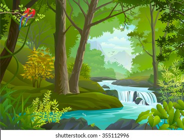 A stream flowing through a dense green forest