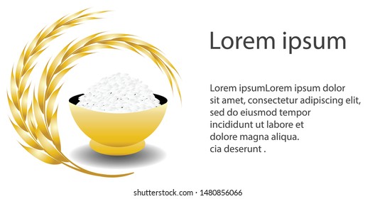 Stream rice in bowl and rice grains, (golden ears of rice) , isolated on white background. Free space for text. Vector Illustrator