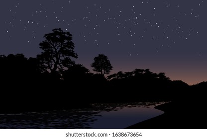 Stream through forest with starry sky