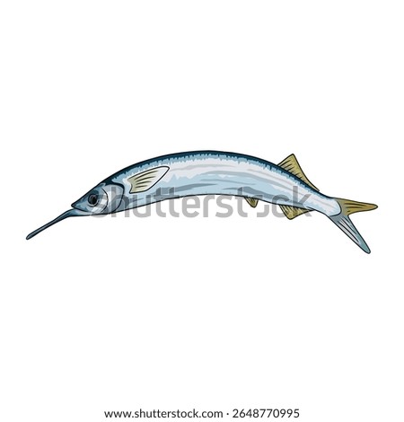 Streamlined illustration of a ballyhoo fish, showing its elongated body.