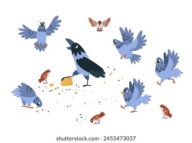 Street birds eating. Magpie, crow and sparrows with pigeons. Isolated urban scene with bird crowd feeding. Funny characters pecking, classy vector concept