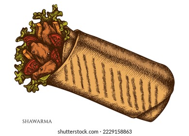 Street food hand drawn vector illustrations collection. Colored shawarma.