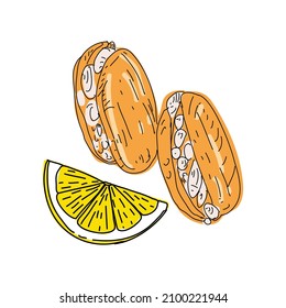 Street food. Stuffed mussels. Heap of mussels in shells stuffed with rice and served with lemon. Design element for poster, menu, flyer, banner, package. Vector.