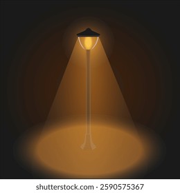 street lamp at night vector illustration