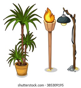 The street lights and compact palm tree for landscaping. Vector illustration.
