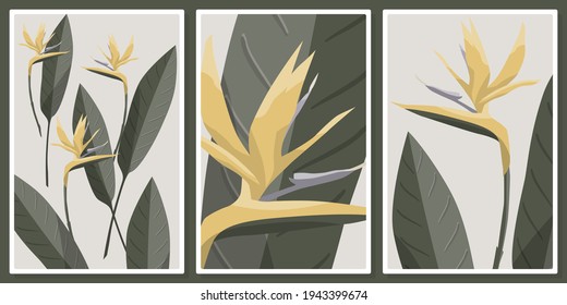 strelitzia or bird of paradise flower wall art vector set,  for all art, poster, wallpaper, print 