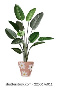 Strelitzia Bird of Paradise Indoor plant vector illustration. Realistic house plant in hand made pot. Exotic flower stems, leaves. Botanical element for interior design isolated on white background.