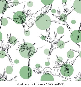 Strelitzia , botanical, nature , flowers, fashion vector seamless pattern . Concept for print, textile, wallpaper, wrapping paper