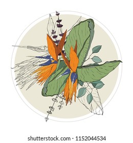 Strelitzia eucalyptus leaves flowers bouquet exotic colorful vector