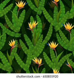 Strelitzia exotic flowers seamless pattern.