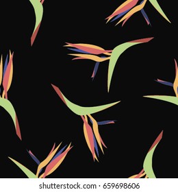 Strelitzia flower colorful pattern on black background. Bird of paradise seamless pattern.